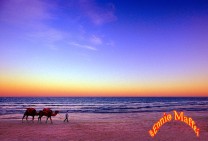 Tunisian Beach Sunset 