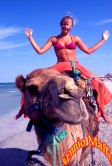 Girl On The Camel