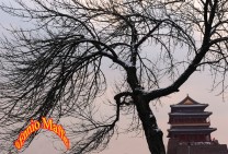 Beijing Tiananmen Square Gate