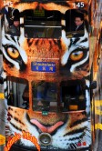 Hong Kong Tram Tiger