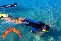 Red Sea Snorkeling