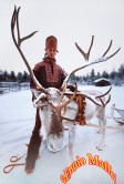 Lapland Reindeer Sled