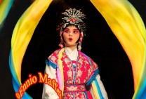 Chinese Opera Performer