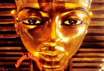 Cairo Egyptian Museum Tut Ank Ammon