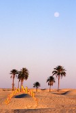 Tunisia Douz Oasis