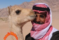 Jordan Wadi Rum Desert