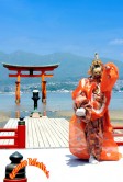Japan Myiajima Itsukushima Shrine