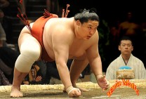 Japan Sumo Wrestler