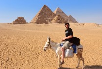 Giza On The Donkey