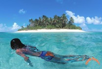 Seychelles Alphonse Island