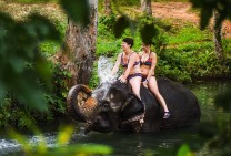 Thailand Kraby Elephant Shower