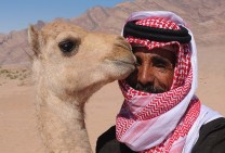 Jordan Wadi Rum Desert Dwellers