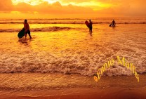 Bali Denpasar Surfers in The Sunset