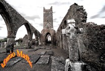 Galway Ruined Friary