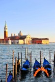 Venice Sait George Island