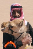 Bedouin & Dromedary Cub