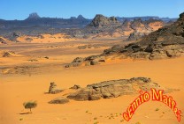 Sahara Fezzan 
