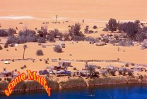 Fezzan Awbari Oulm  Alma Oasis