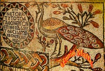 Qasr El Libia Mosaics