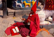 Buddhist Street Monk