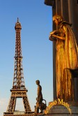 Eiffel Tower From Palais De Chaillot