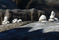 Shells Spires on the Rocks