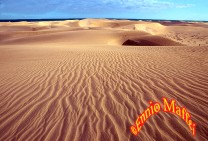 Gran Canaria Maspalomas Dunes