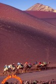Lanzarote Camel Caravan