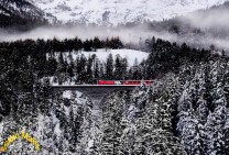 Bernina Train -