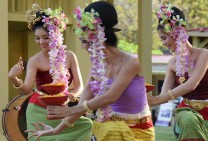 Thai Folklore Dance