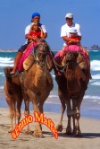 Camel Beach Ride