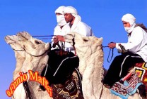 Douz Festival Berbers On Mehari