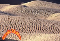 Douz Sahara Dunes