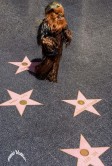 Chewbacca at the " Walk of Fame " Los Angeles 