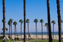 Venice Beach - California -