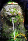 Ubud Fountain