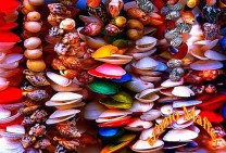 Colored Shells