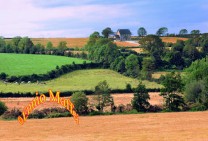 Sligo Countryside