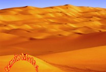 Sahara Erg Aubari