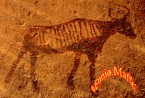 Sahara Rock Painting