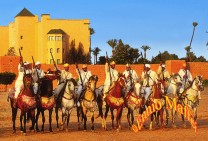 Marrakech Hotel Mamounia